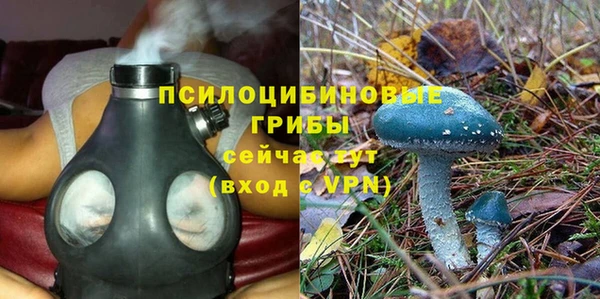 прущая мука Корсаков