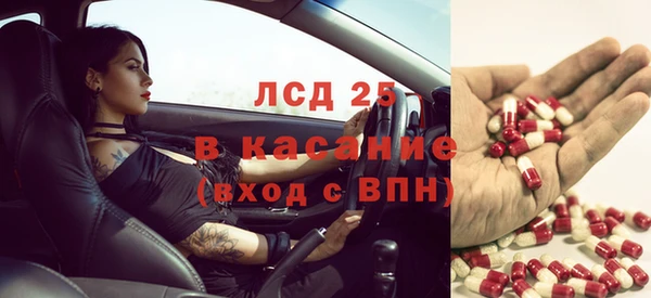 прущая мука Корсаков