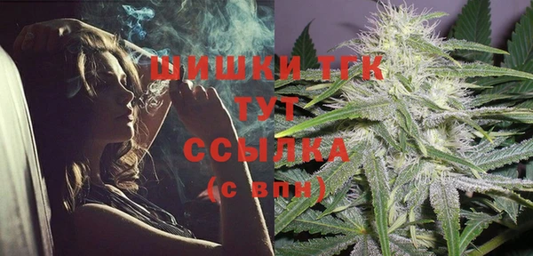 амф Костерёво
