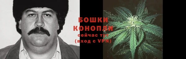 амф Костерёво