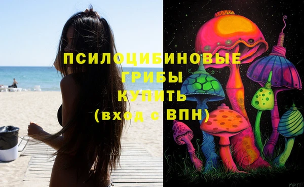 прущая мука Корсаков